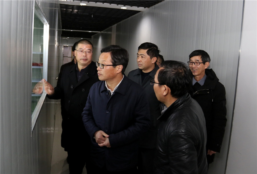 程志翔见证安徽科视激光三代激光投影研发验证成功 程志翔见证安徽科视激光三代激光投影研发验证成功